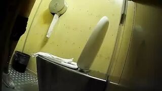 PublictoiletSL74 vol 406