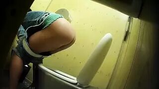 PublictoiletSL74 vol 403