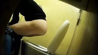 PublictoiletSL74 vol 401