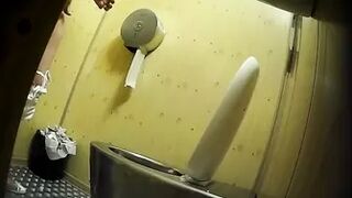 PublictoiletSL74 vol 399