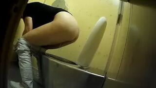 PublictoiletSL74 vol 395