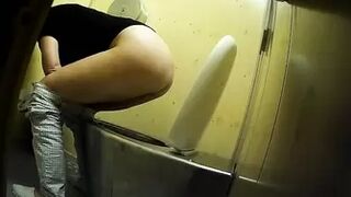 PublictoiletSL74 vol 395