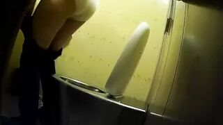 PublictoiletSL74 vol 394