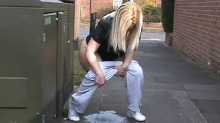 Scene 1063 (Rachel Travers)