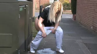 Scene 1063 (Rachel Travers)