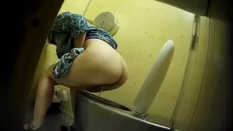 PublictoiletSL74 vol 382