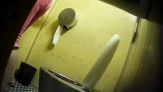 PublictoiletSL74 vol 376