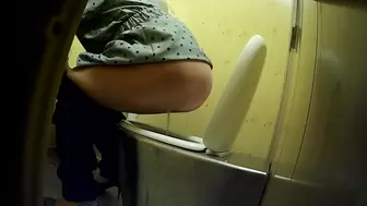 PublictoiletSL74 vol 370