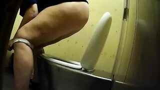 PublictoiletSL74 vol 365