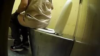 PublictoiletSL74 vol 360