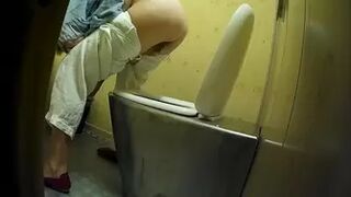 PublictoiletSL74 vol 357
