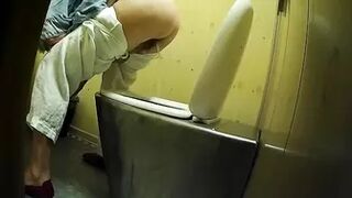 PublictoiletSL74 vol 357