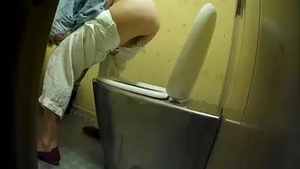 PublictoiletSL74 vol 357