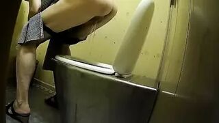 PublictoiletSL74 vol 349