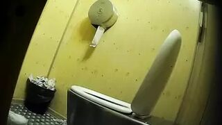 PublictoiletSL74 vol 344