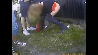 Rock Festival Summary 0001