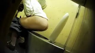 PublictoiletSL74 vol 340