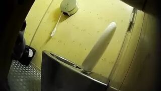 PublictoiletSL74 vol 340