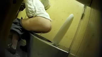 PublictoiletSL74 vol 340