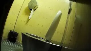 PublictoiletSL74 vol 334