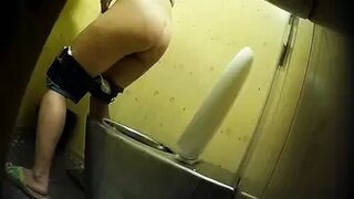 PublictoiletSL74 vol 329