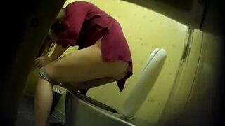 PublictoiletSL74 vol 321