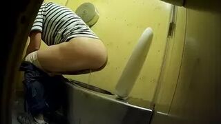 PublictoiletSL74 vol 316