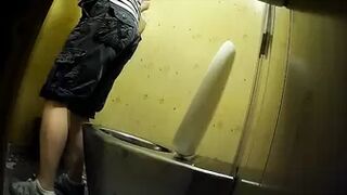 PublictoiletSL74 vol 316