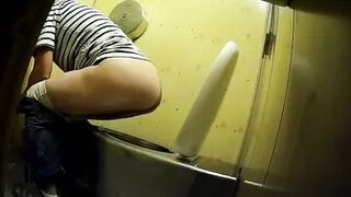 PublictoiletSL74 vol 316