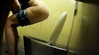 PublictoiletSL74 vol 313