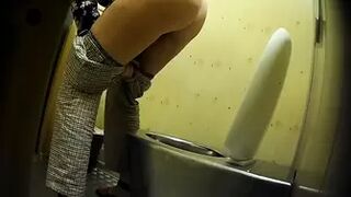 PublictoiletSL74 vol 311