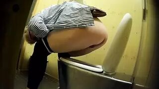 PublictoiletSL74 vol 307