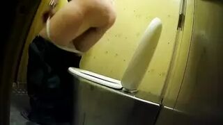 PublictoiletSL74 vol 301