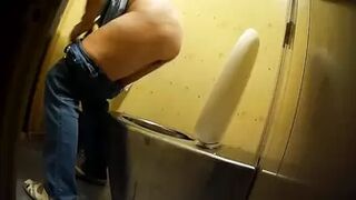 PublictoiletSL74 vol 298