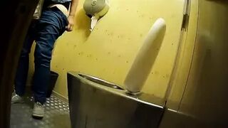 PublictoiletSL74 vol 297