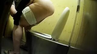 PublictoiletSL74 vol 294