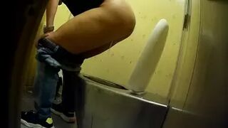 PublictoiletSL74 vol 293