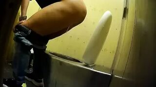 PublictoiletSL74 vol 293