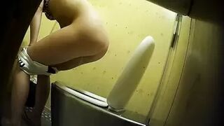 PublictoiletSL74 vol 262