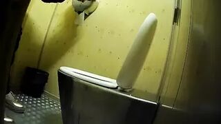 PublictoiletSL74 vol 257