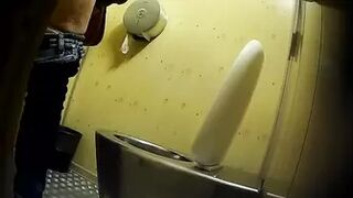 PublictoiletSL74 vol 252
