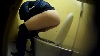 PublictoiletSL74 vol 251