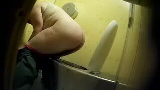 PublictoiletSL74 vol 247