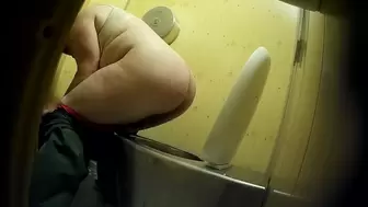 PublictoiletSL74 vol 247