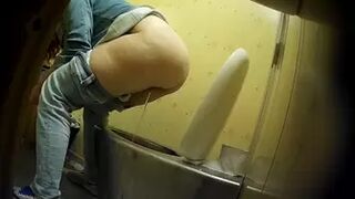 PublictoiletSL74 vol 246