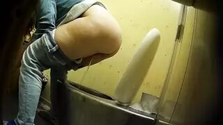 PublictoiletSL74 vol 246