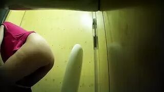 PublictoiletSL74 vol 231