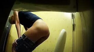 PublictoiletSL74 vol 229