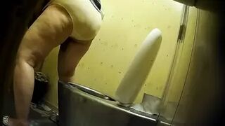 PublictoiletSL74 vol 225