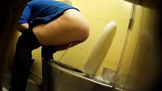 PublictoiletSL74 vol 222